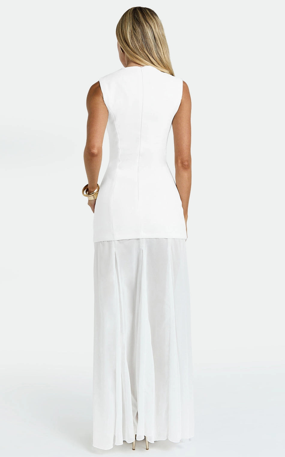 Roselledress sleeveless formal dress plus size back zipper mesh chiffon panel maxi party dress back view
