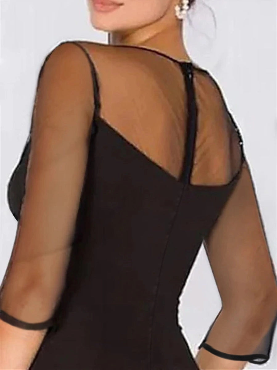 RoselleDress black sheer mesh long sleeve formal gown full mesh back vertical zipper plus size mother dress back shot